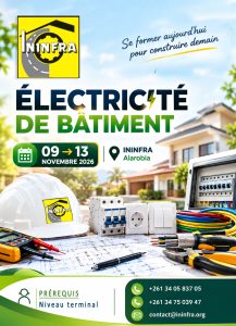 elec bat